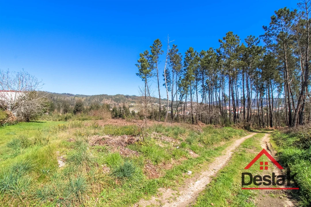 Terreno para Venda em São Pedro do Sul, Várzea e Baiões Foto 5
