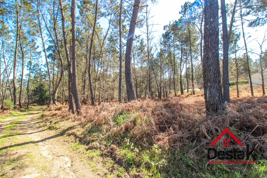 Terreno para Venda em São Pedro do Sul, Várzea e Baiões Foto 7