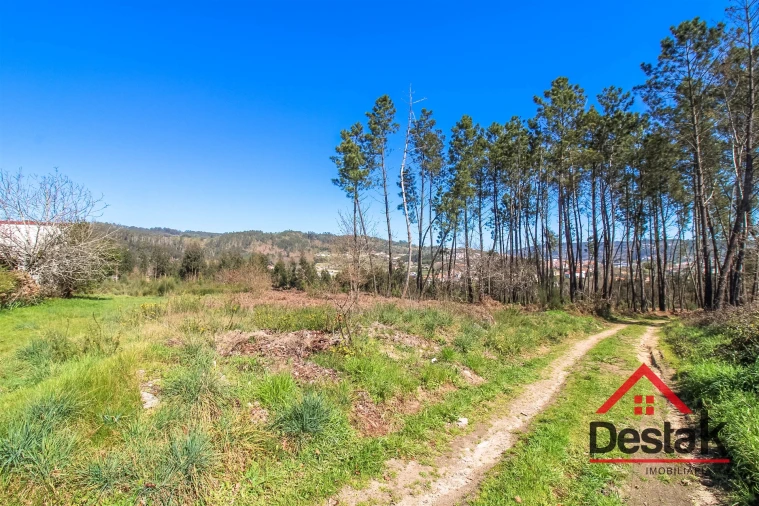 Terreno para Venda em São Pedro do Sul, Várzea e Baiões Foto 5