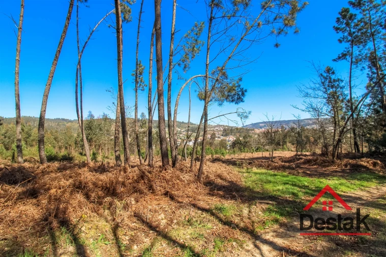 Terreno para Venda em São Pedro do Sul, Várzea e Baiões Foto 4