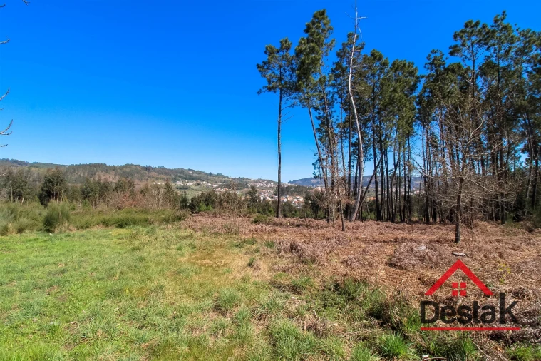 Terreno para Venda em São Pedro do Sul, Várzea e Baiões Foto 3