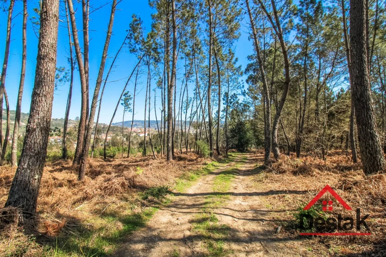 Terreno para Venda em São Pedro do Sul, Várzea e Baiões Foto 6