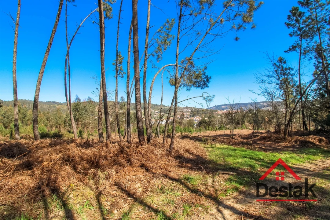 Terreno para Venda em São Pedro do Sul, Várzea e Baiões Foto 4