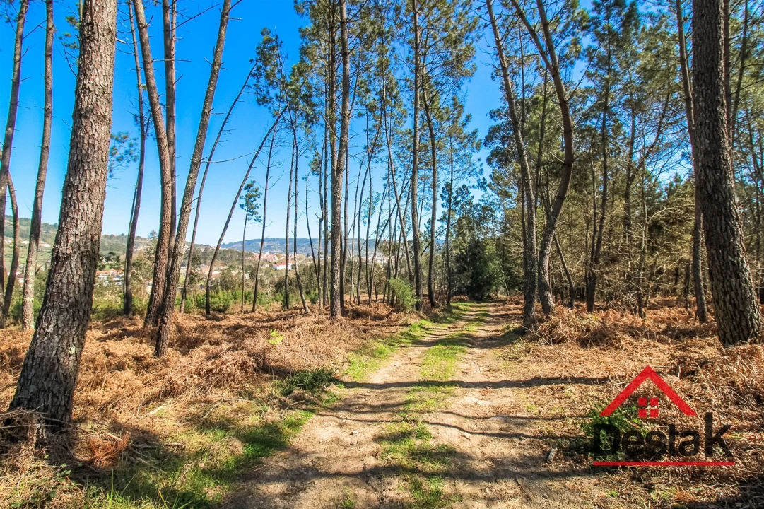 Terreno para Venda em São Pedro do Sul, Várzea e Baiões Foto 6