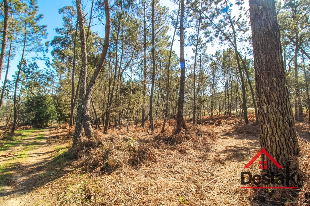 Terreno para Venda em São Pedro do Sul, Várzea e Baiões Foto 8