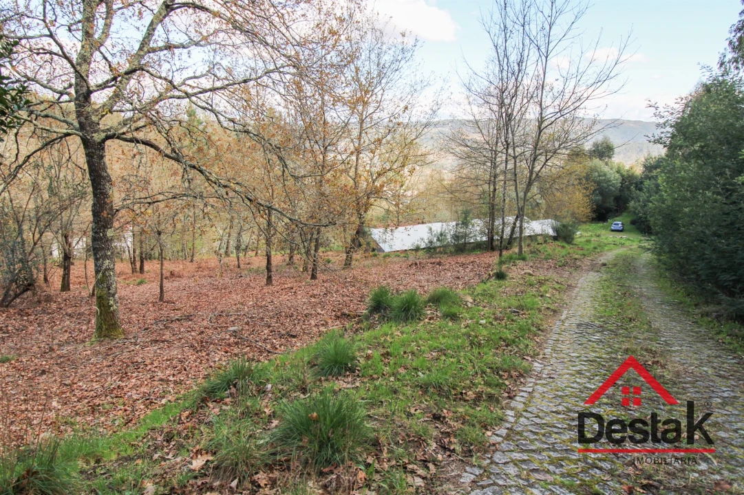 Quinta T6 para Venda em São Pedro do Sul, Várzea e Baiões Foto 33