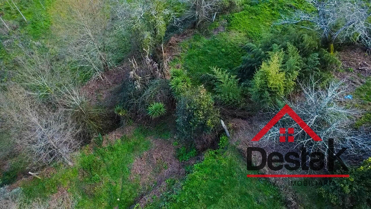 Quinta T6 para Venda em São Pedro do Sul, Várzea e Baiões Foto 51