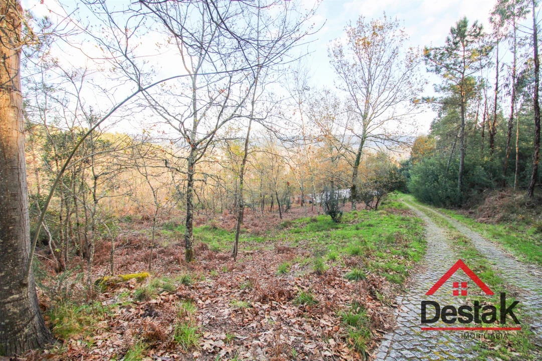Quinta T6 para Venda em São Pedro do Sul, Várzea e Baiões Foto 45