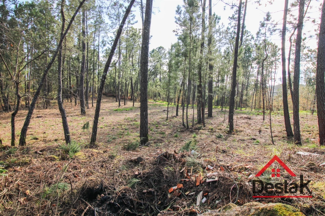 Quinta T6 para Venda em São Pedro do Sul, Várzea e Baiões Foto 31