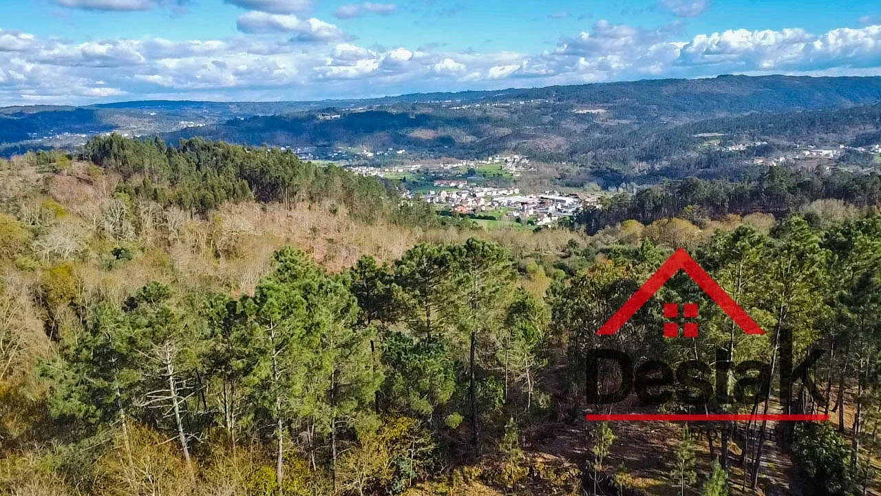 Quinta T6 para Venda em São Pedro do Sul, Várzea e Baiões Foto 28