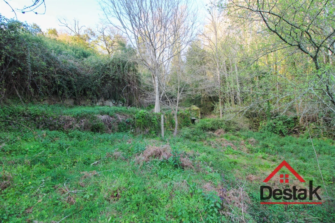 Quinta T6 para Venda em São Pedro do Sul, Várzea e Baiões Foto 36