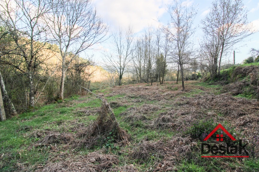 Quinta T6 para Venda em São Pedro do Sul, Várzea e Baiões Foto 37