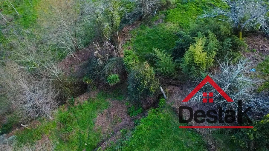 Quinta T6 para Venda em São Pedro do Sul, Várzea e Baiões Foto 51