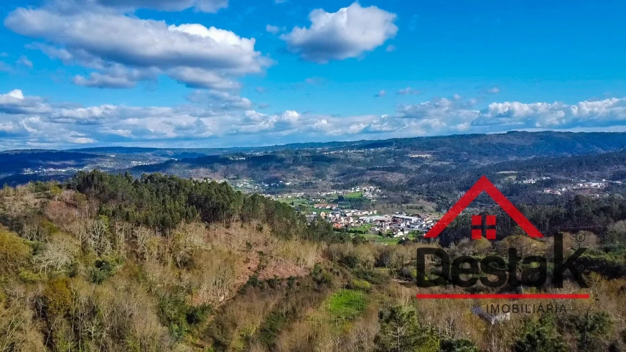Quinta T6 para Venda em São Pedro do Sul, Várzea e Baiões Foto 5