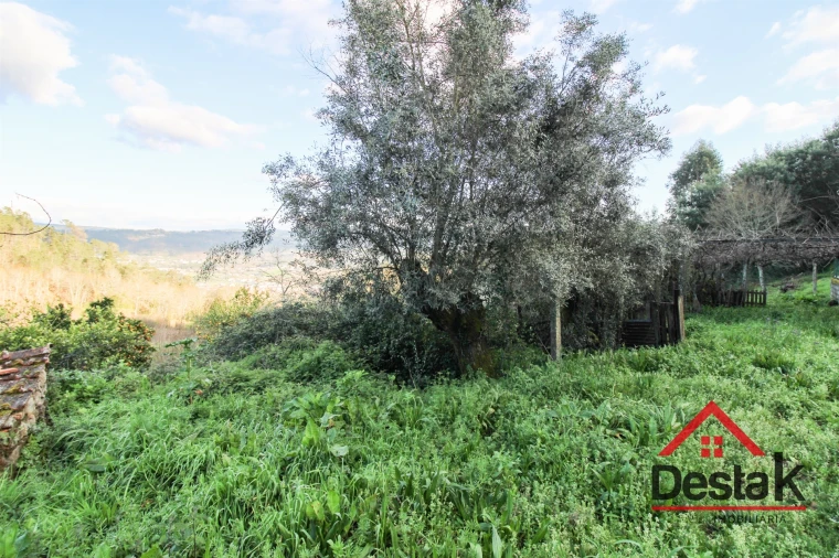 Quinta T6 para Venda em São Pedro do Sul, Várzea e Baiões Foto 40