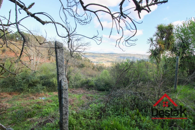 Quinta T6 para Venda em São Pedro do Sul, Várzea e Baiões Foto 35