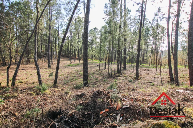 Quinta T6 para Venda em São Pedro do Sul, Várzea e Baiões Foto 31