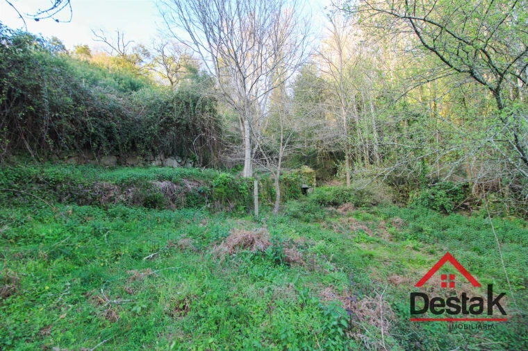 Quinta T6 para Venda em São Pedro do Sul, Várzea e Baiões Foto 36