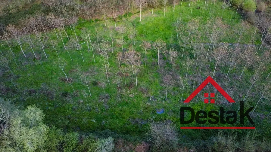 Quinta T6 para Venda em São Pedro do Sul, Várzea e Baiões Foto 38