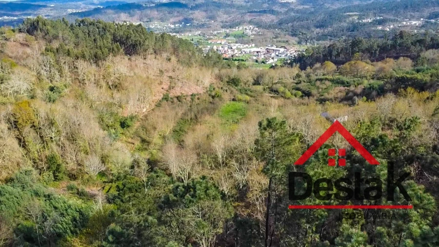 Quinta T6 para Venda em São Pedro do Sul, Várzea e Baiões Foto 46