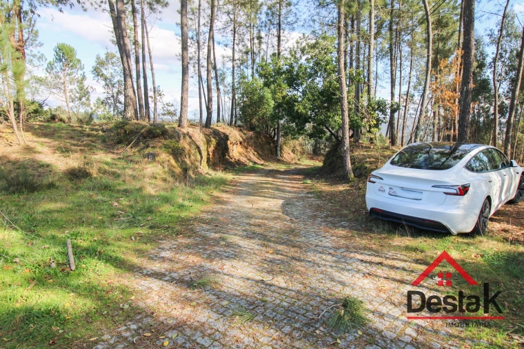 Quinta T6 para Venda em São Pedro do Sul, Várzea e Baiões Foto 30