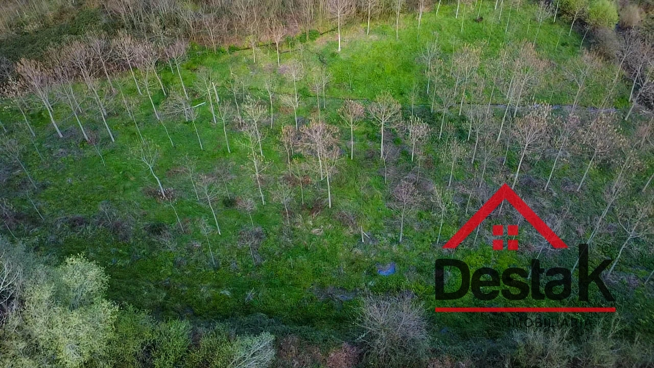 Quinta T6 para Venda em São Pedro do Sul, Várzea e Baiões Foto 38