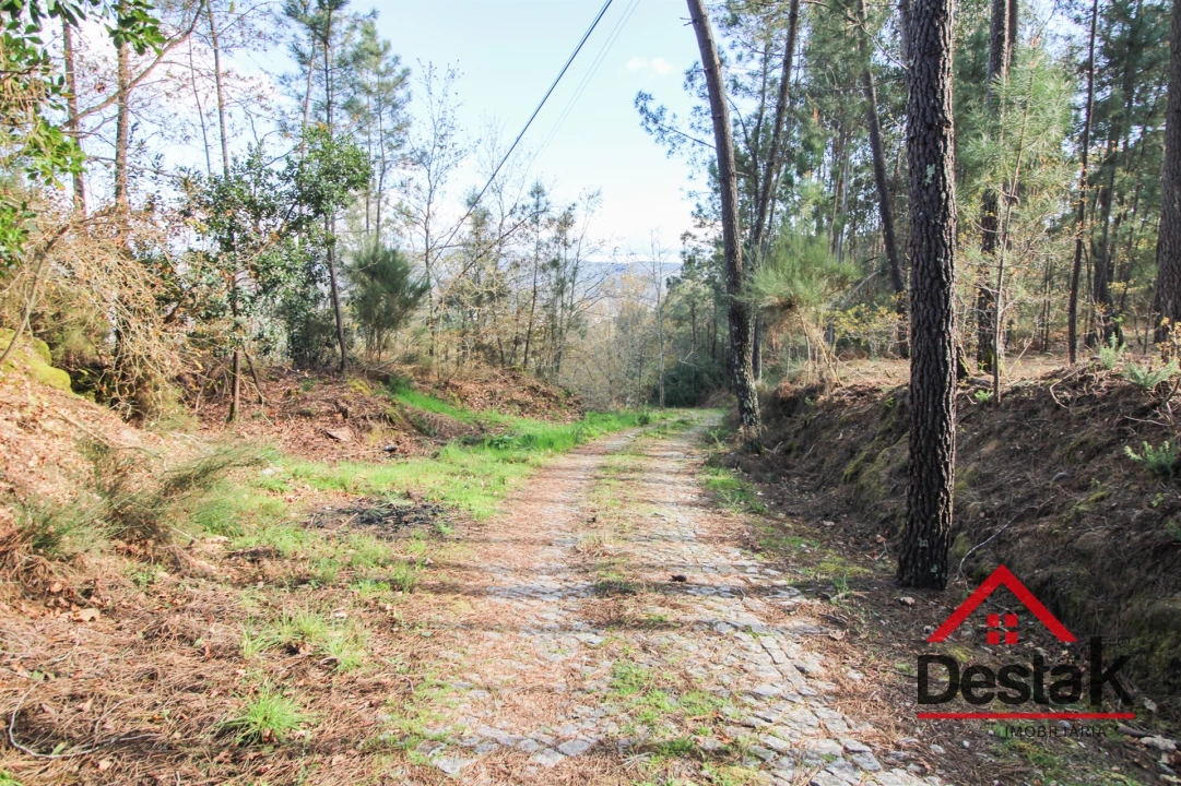 Quinta T6 para Venda em São Pedro do Sul, Várzea e Baiões Foto 32