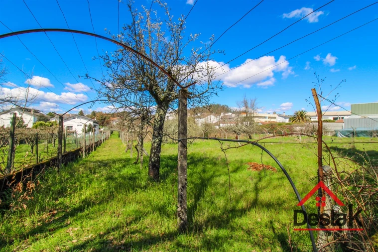 Terreno para Venda em Campo Foto 5