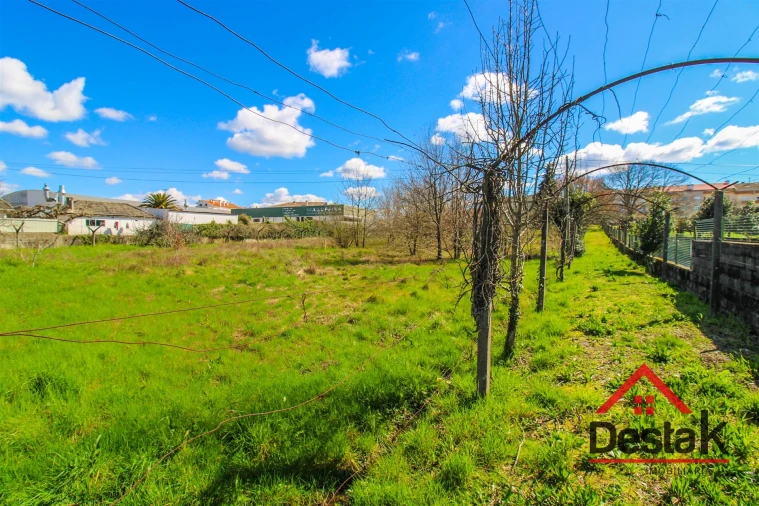Terreno para Venda em Campo Foto 6