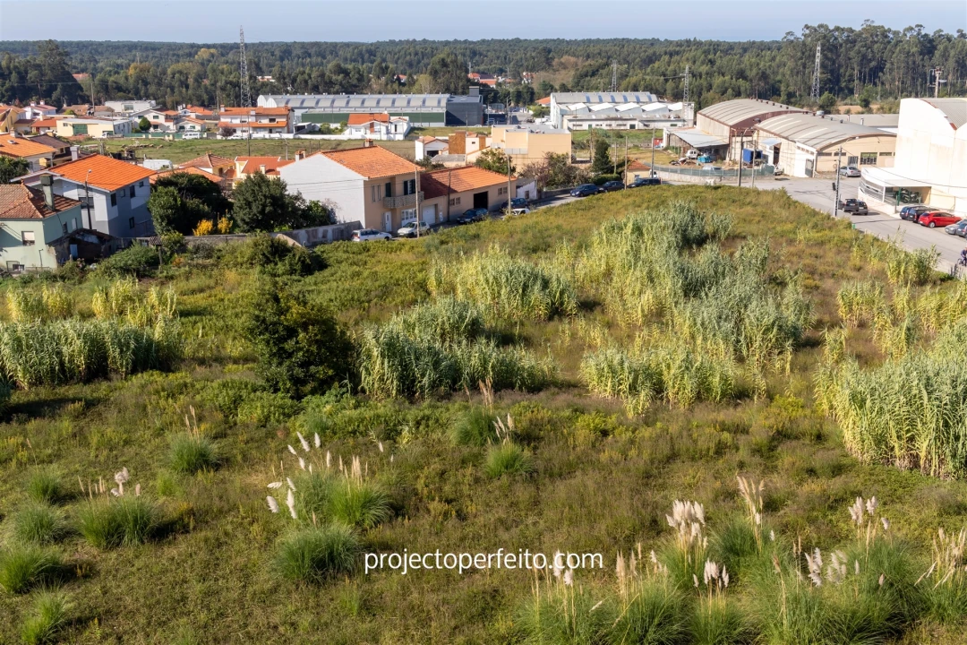 Terreno para Venda em Cortegaça Foto 3