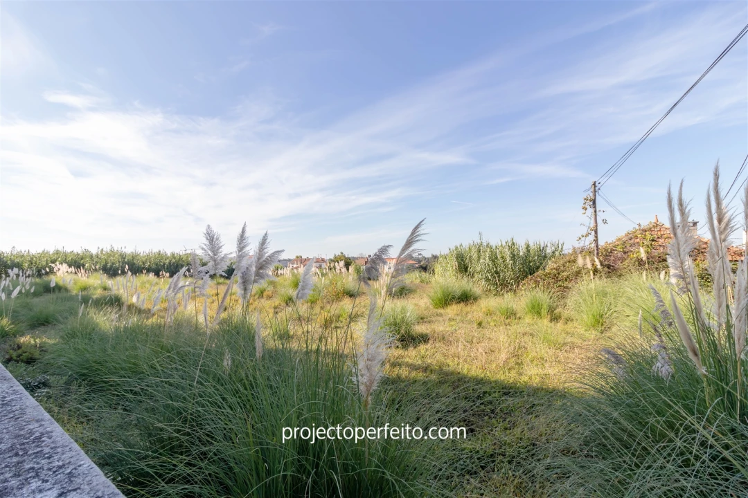 Terreno para Venda em Cortegaça Foto 5