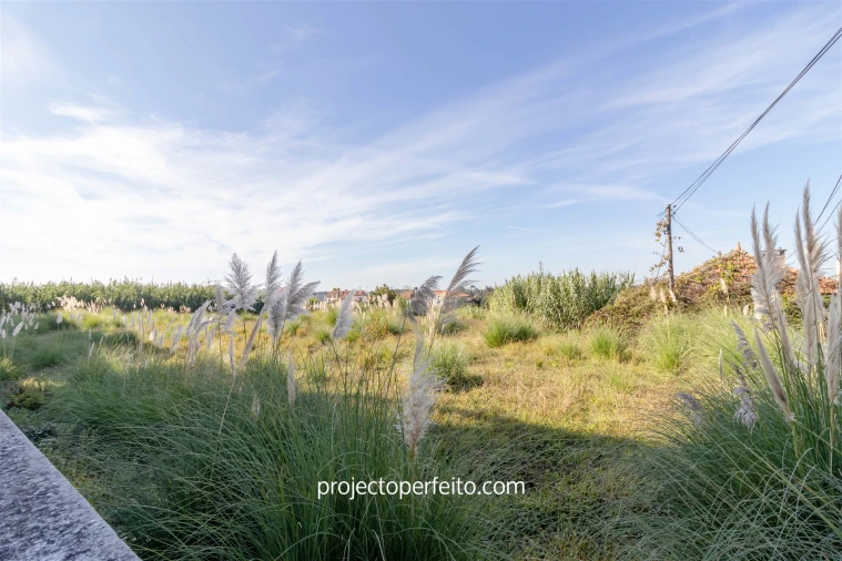 Terreno para Venda em Cortegaça Foto 5