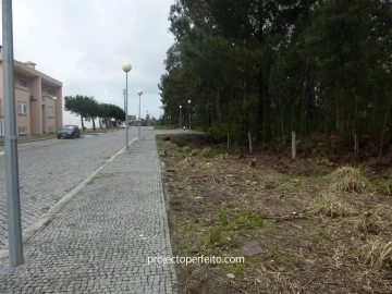 Terreno para Venda em Anta e Guetim