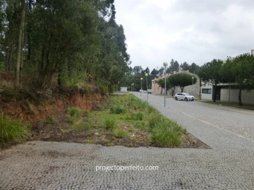 Terreno para Venda em Anta e Guetim