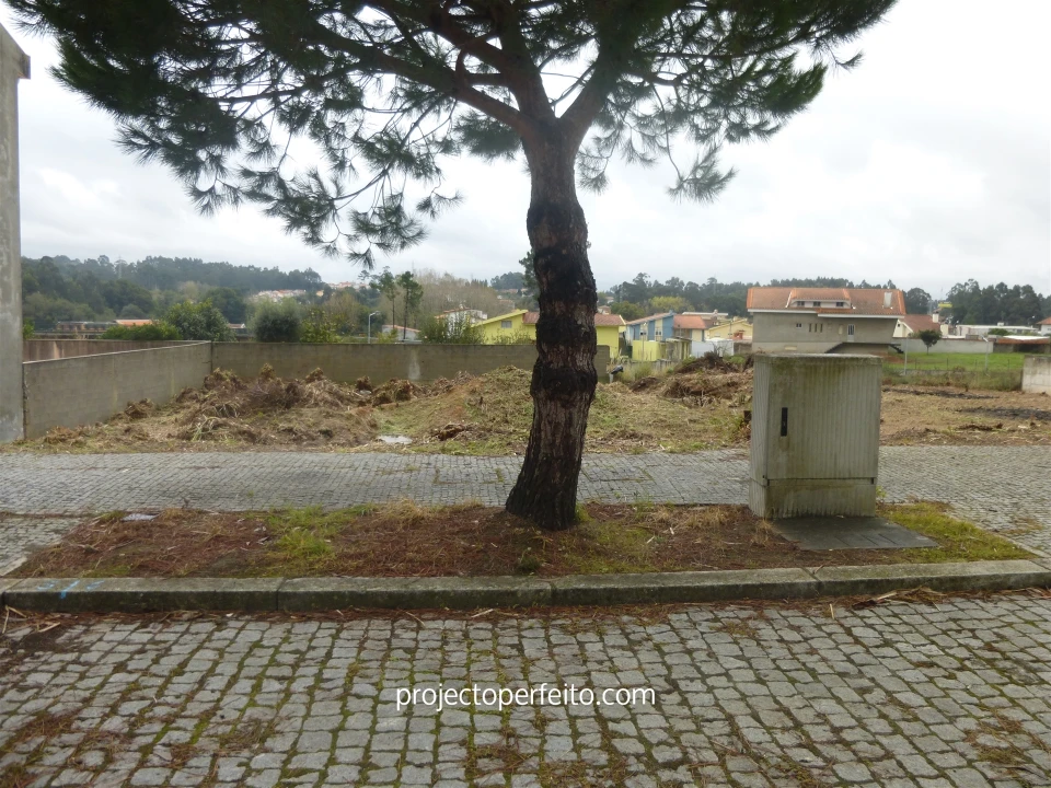 Terreno para Venda em Anta e Guetim Foto 6
