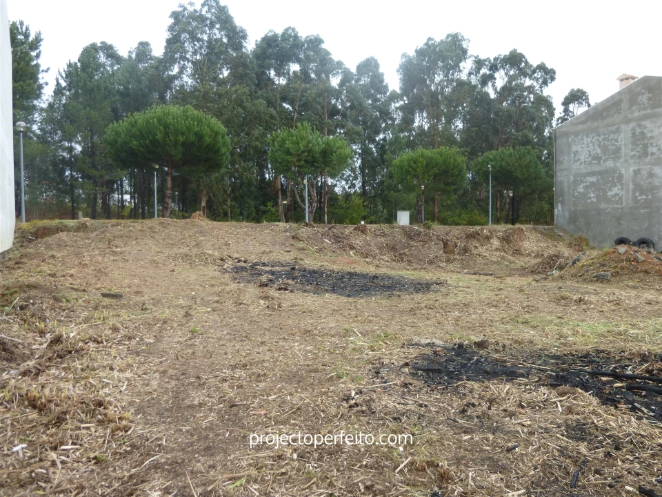 Terreno para Venda em Anta e Guetim Foto 18