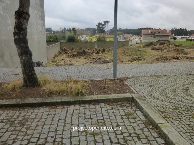Terreno para Venda em Anta e Guetim Foto 4