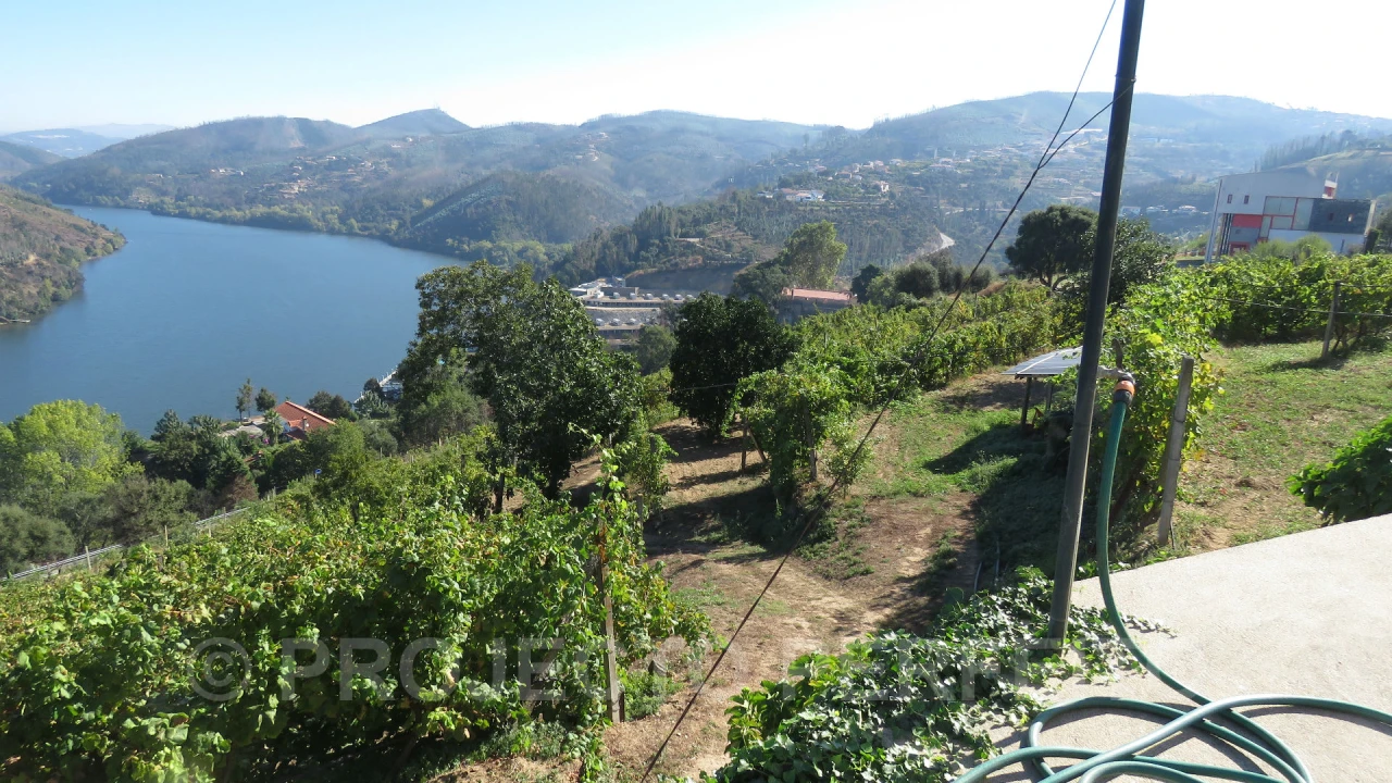 Quinta T3 para Venda em Raiva, Pedorido e Paraíso Foto 3