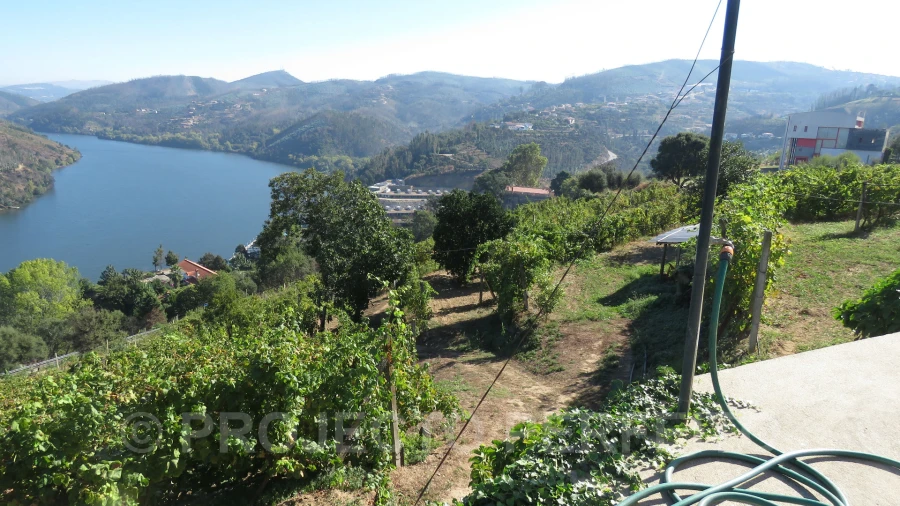 Quinta T3 para Venda em Raiva, Pedorido e Paraíso Foto 3