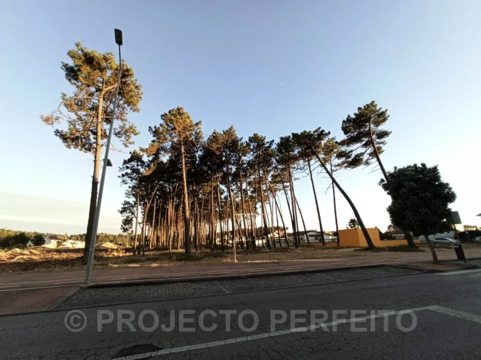 Terreno Agricola ou Rústico para Venda em Esmoriz Foto 5