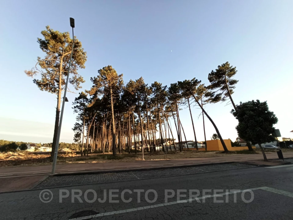 Terreno Agricola ou Rústico para Venda em Esmoriz Foto 5