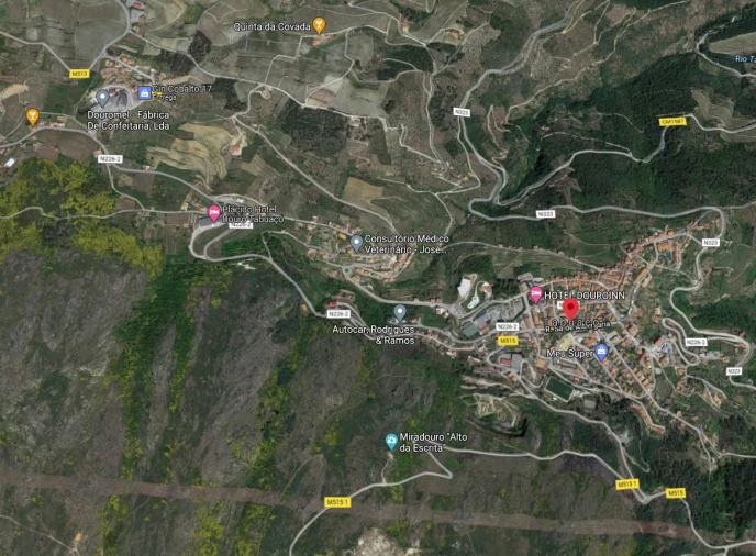 Quinta T9 para Venda em Pinheiros e Vale de Figueira Foto 11