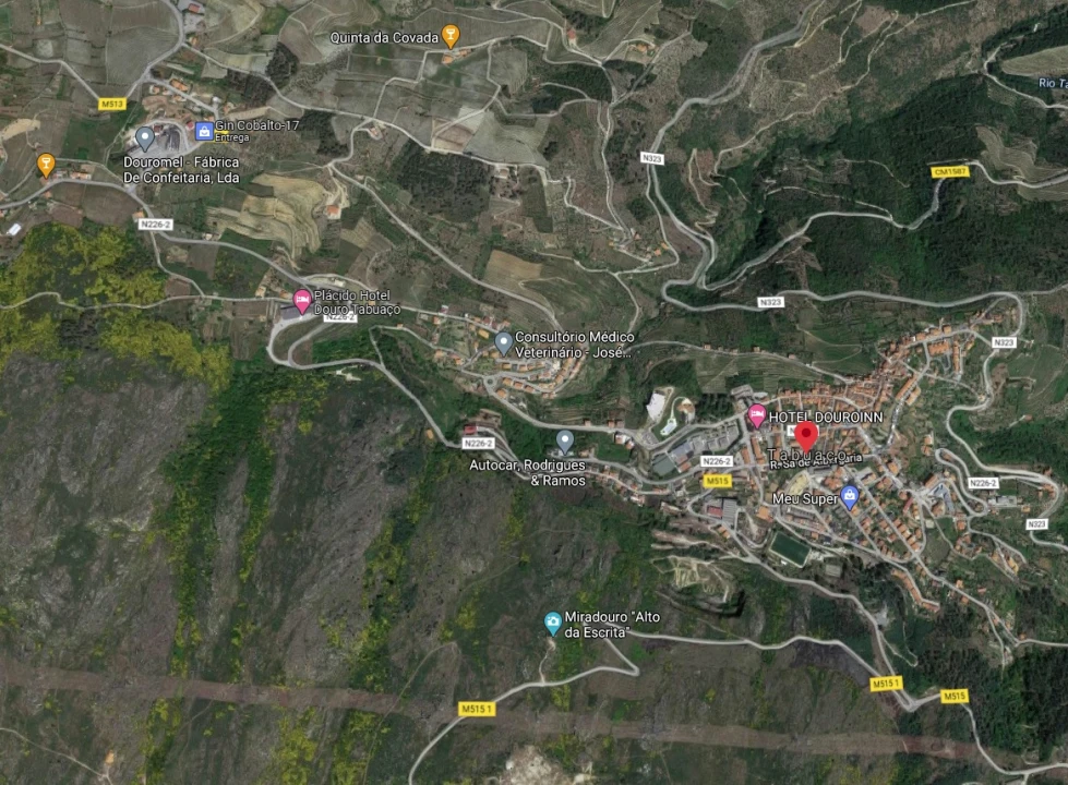 Quinta T9 para Venda em Pinheiros e Vale de Figueira Foto 11