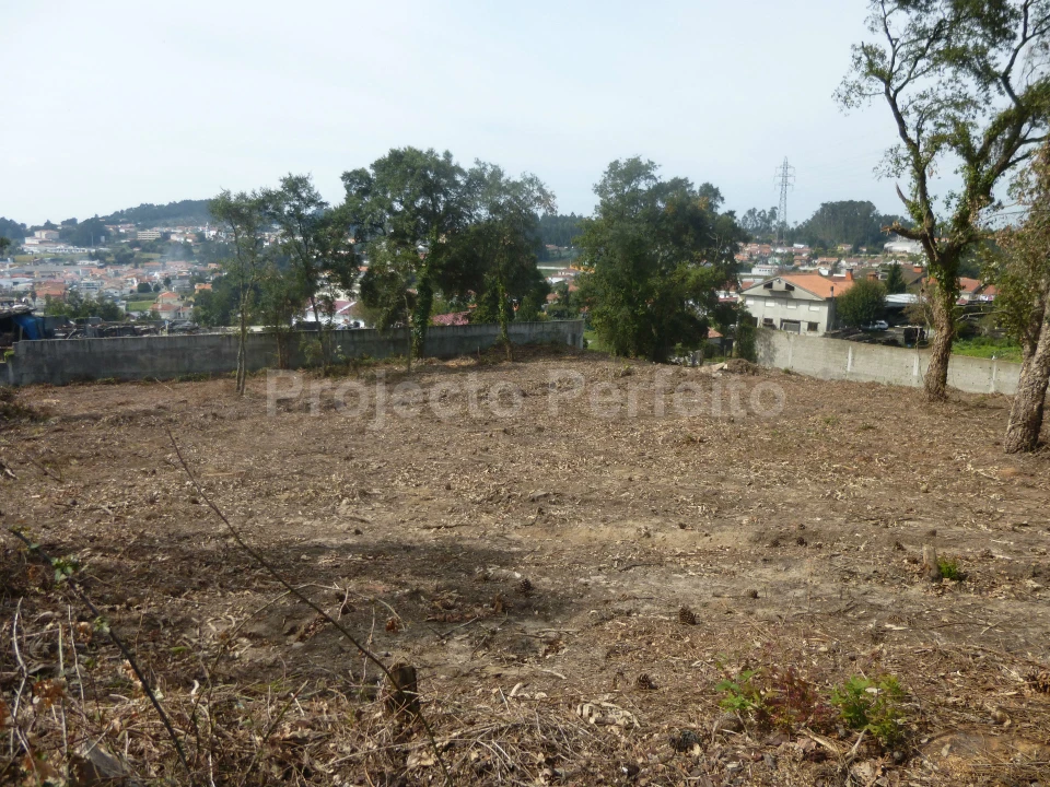 Terreno para Venda em Mozelos Foto 6
