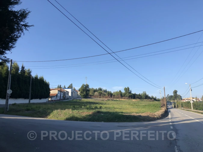 Terreno para Venda em São Paio de Oleiros Foto 5