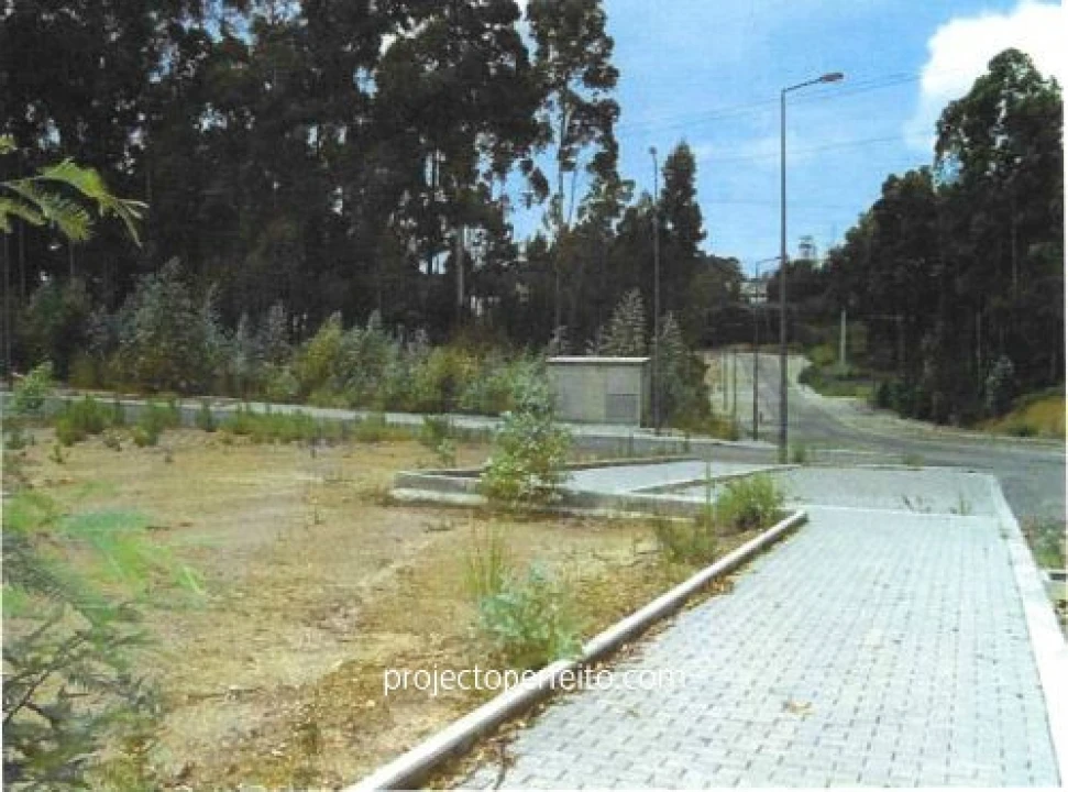 Terreno para Venda em São Paio de Oleiros Foto 9