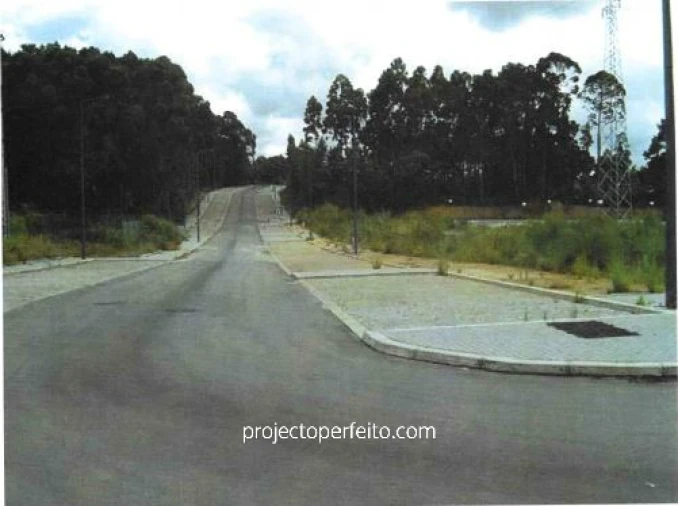 Terreno para Venda em São Paio de Oleiros Foto 7