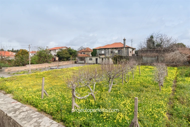 Quinta T5 para Venda em São Paio de Oleiros Foto 22