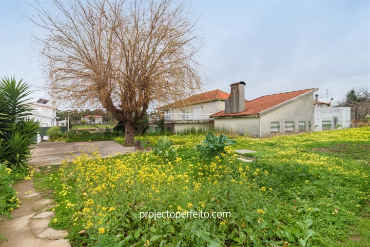 Quinta T5 para Venda em São Paio de Oleiros Foto 24