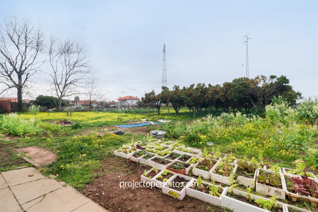 Quinta T5 para Venda em São Paio de Oleiros Foto 4